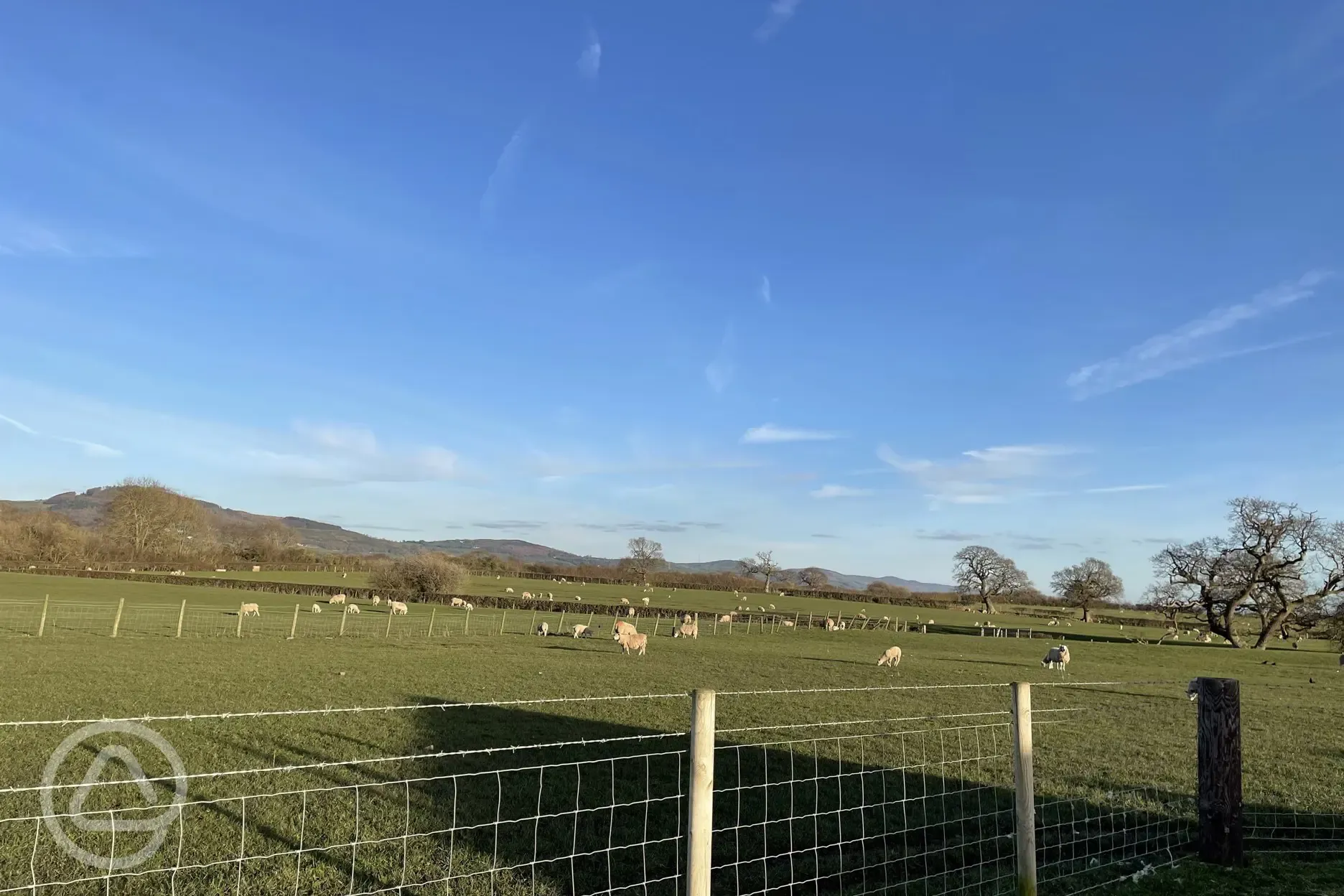 Mountain and livestock views from Abbey Farm Caravan and Glamping