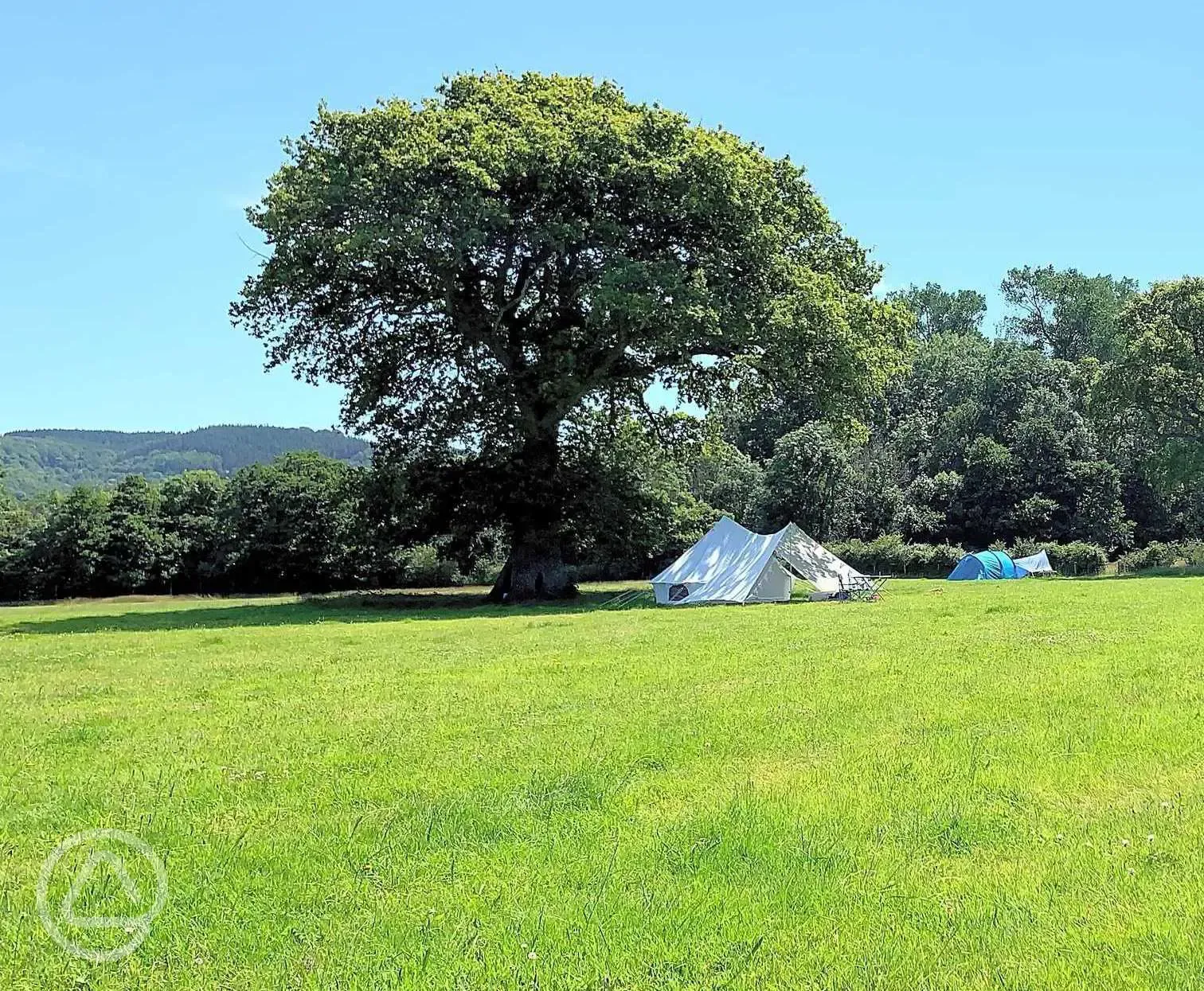 A level campsite field with mature oak trees 