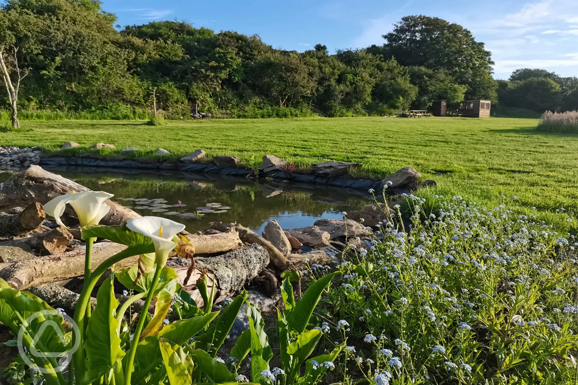 Wildlife pond