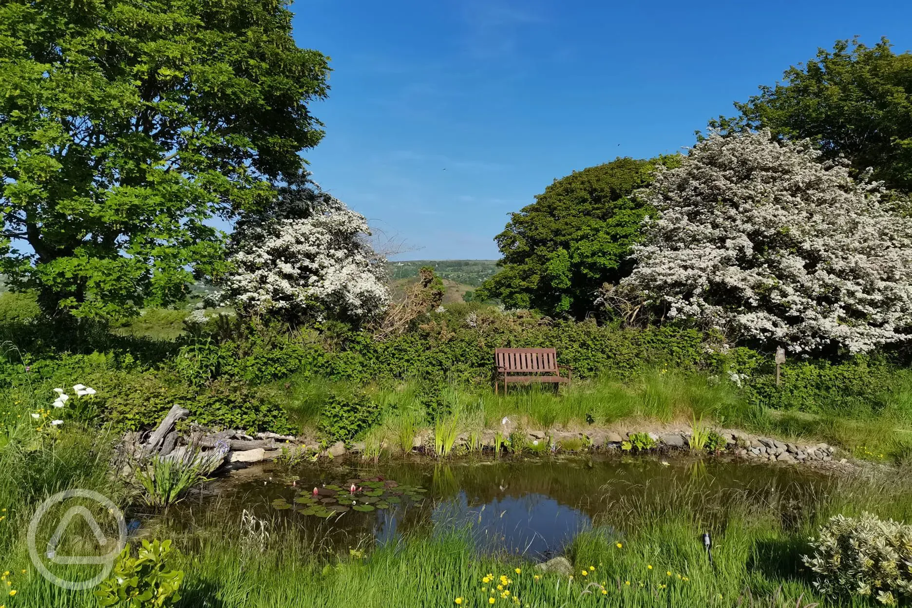 Wildlife pond