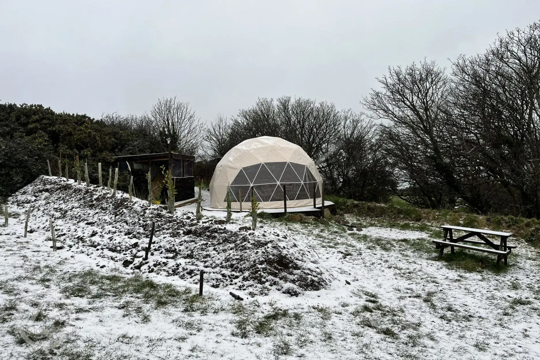 Geodomes in the snow