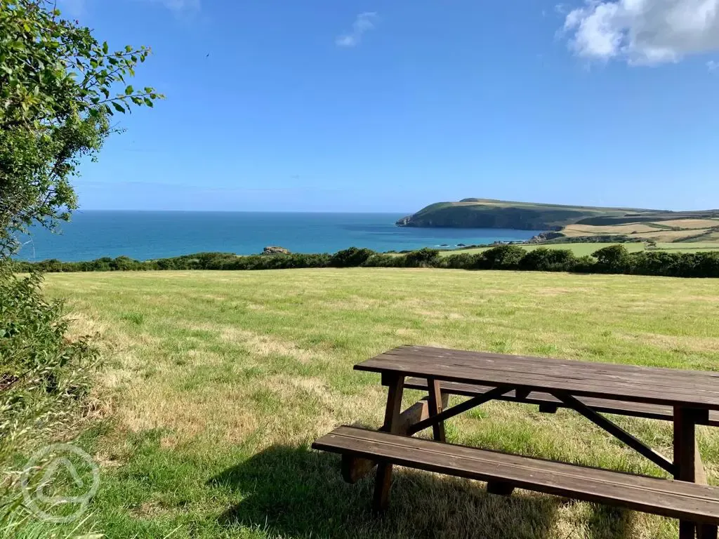 Stunning sea views from the campervan field