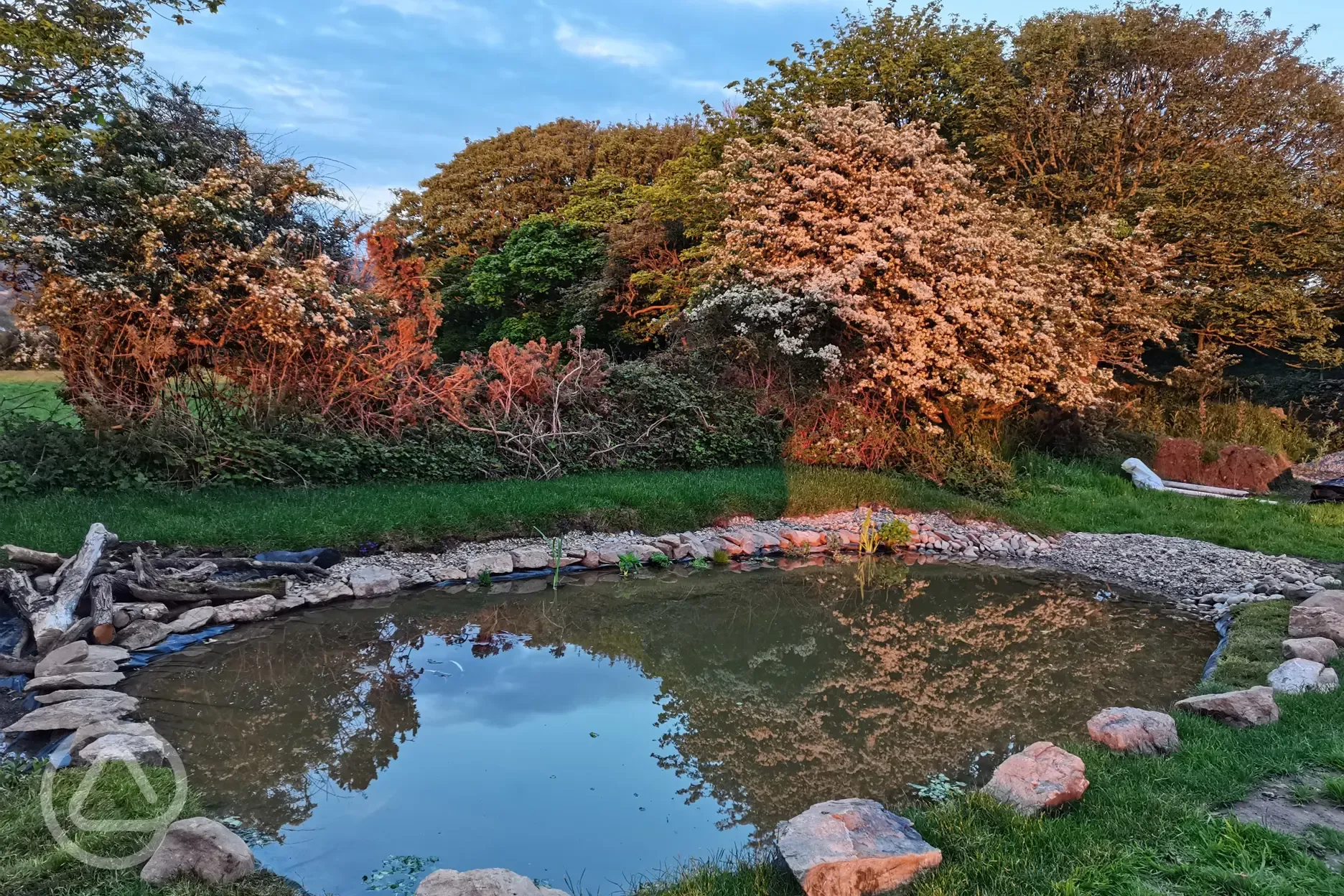 Wildlife pond