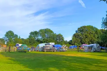 Sussex Topiary Campsite camping field with fenced surroundings