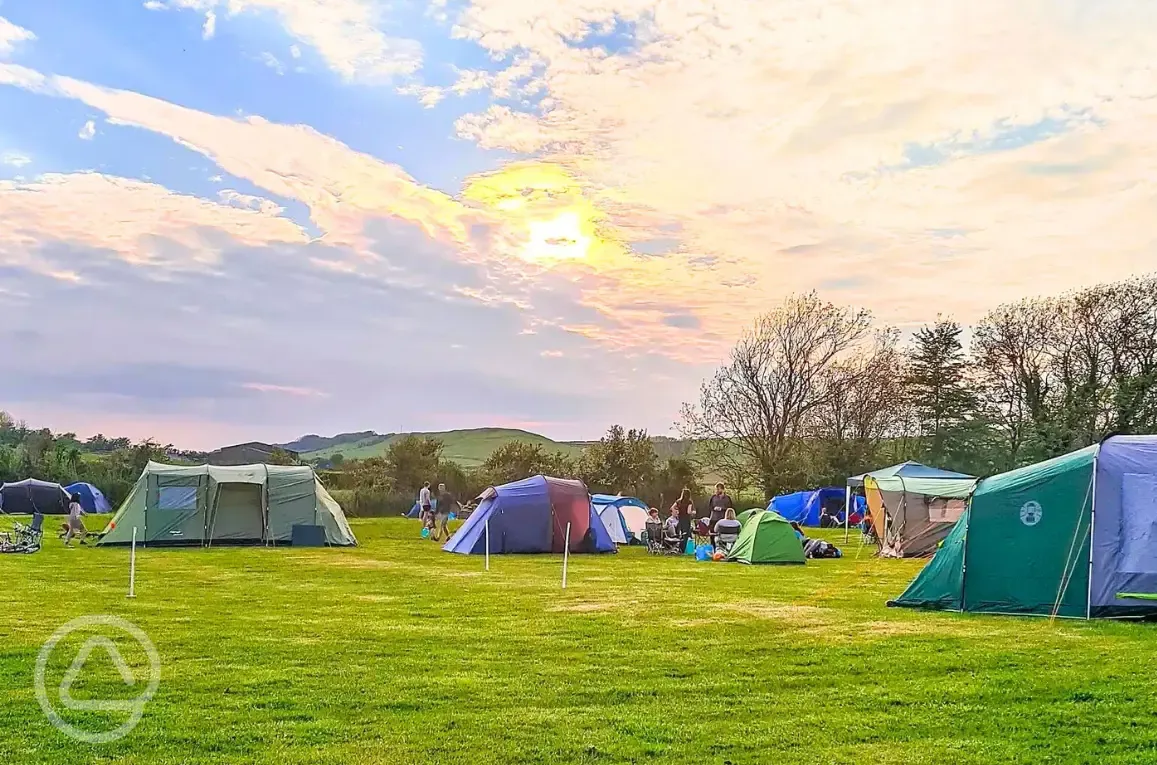 Camping field