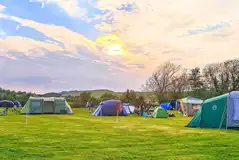 Camping field at sunset