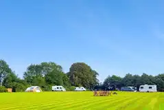 Grass pitches around the edge of the field at Sussex Topiary Campsite