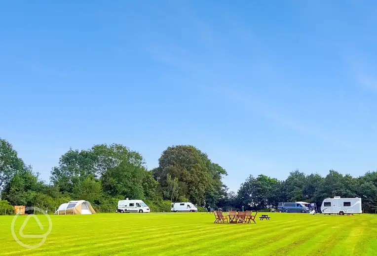 Grass pitches around the edge of the field at Sussex Topiary Campsite