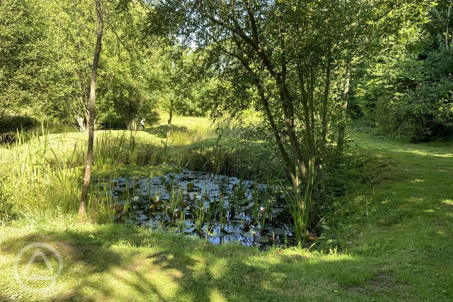 Onsite pond