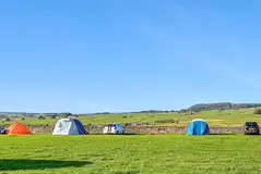 Non electric grass pitches at White House Farm Campsite Non electric grass pitches at White House Farm Campsite