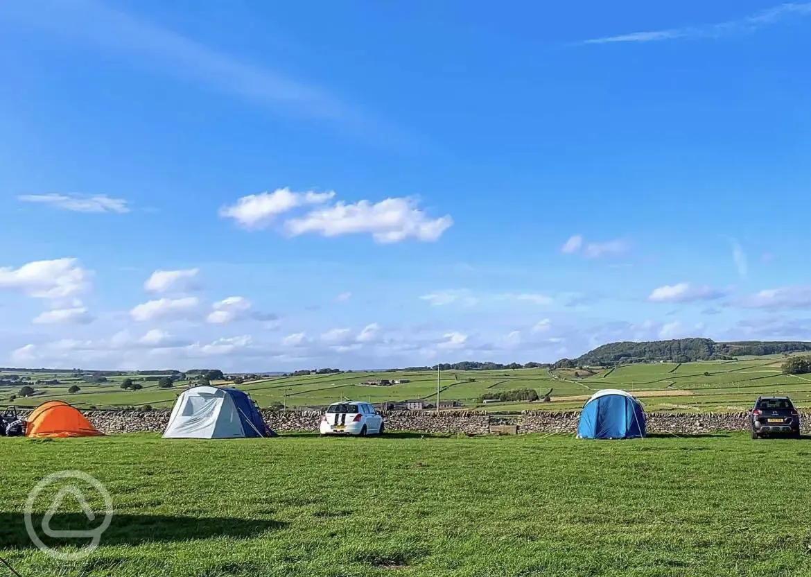 Non electric grass pitches