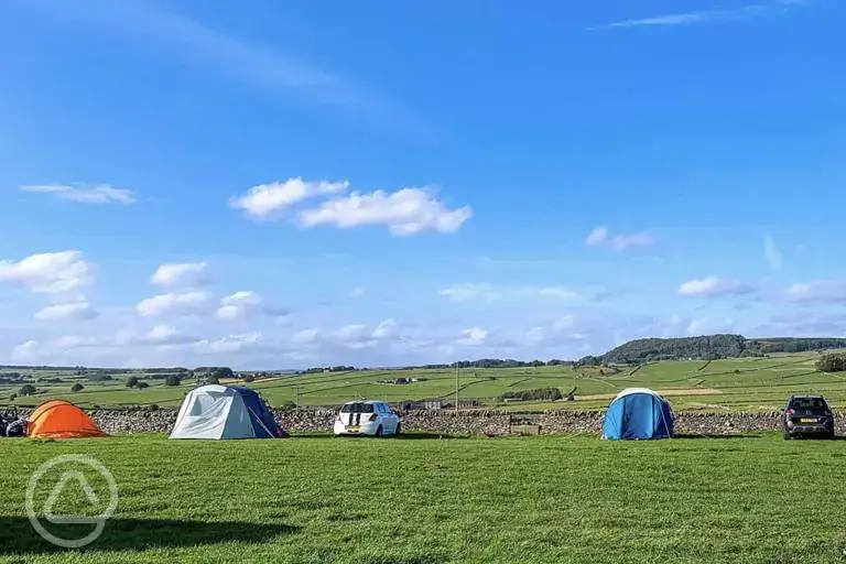 Non electric grass pitches