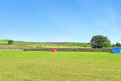 Unmarked non electric grass pitches at White House Farm Campsite Unmarked non electric grass pitches at White House Farm Campsite
