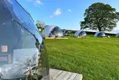 Glamping domes