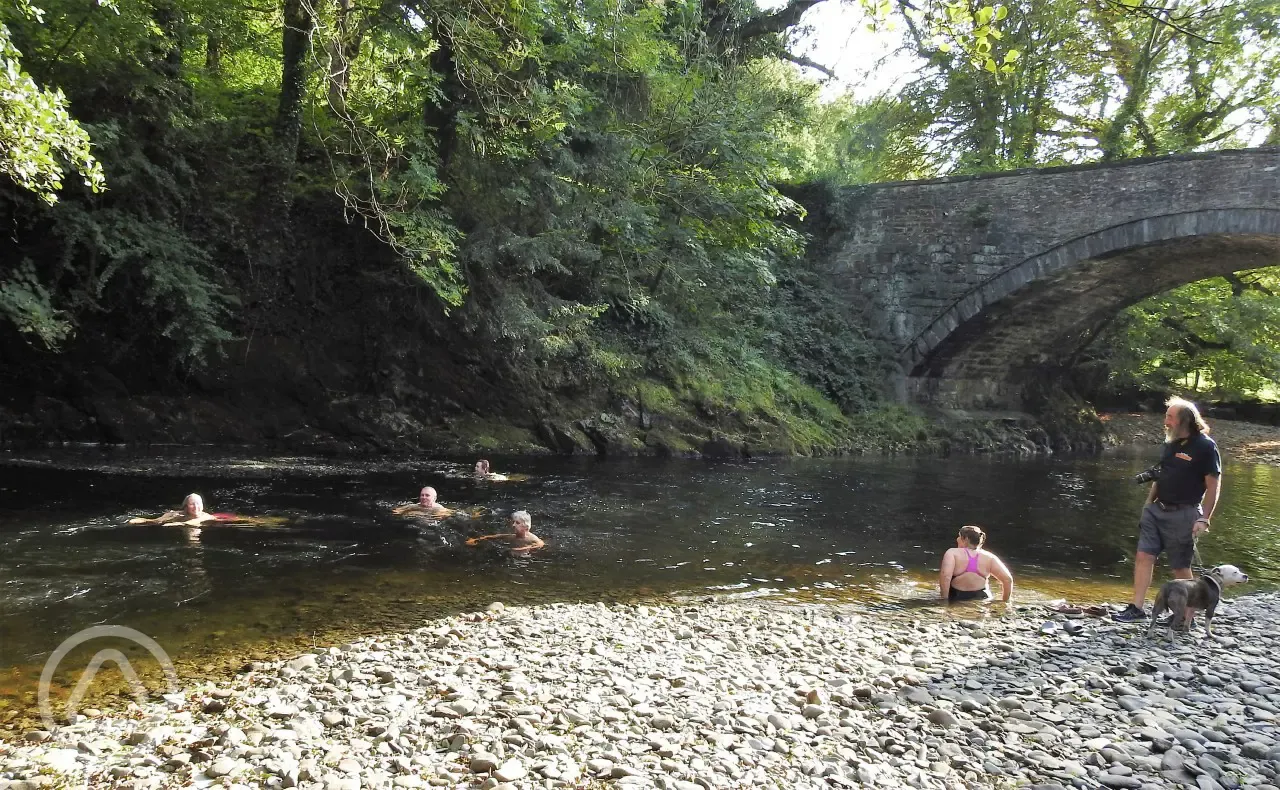 Wild swimming