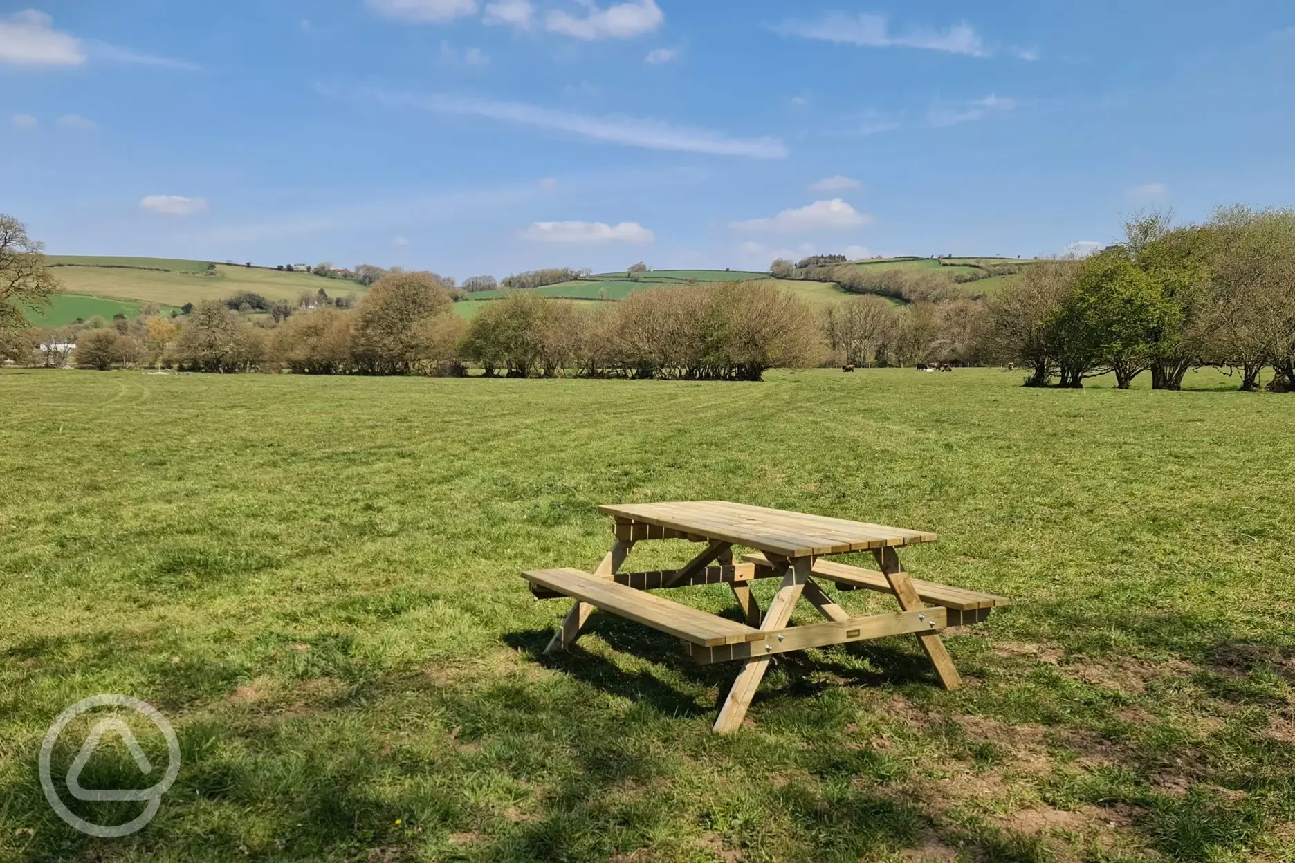 Picnic benches around the meadow