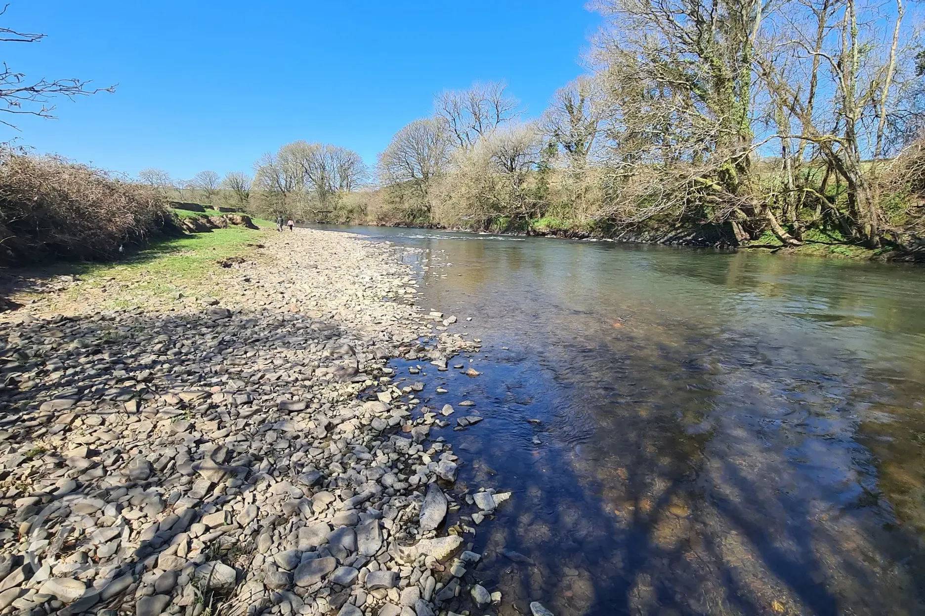 side River Taw