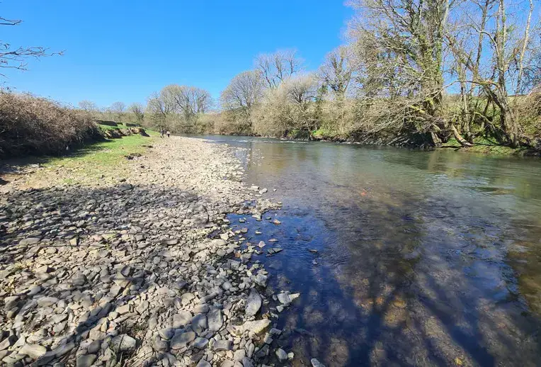 River Taw