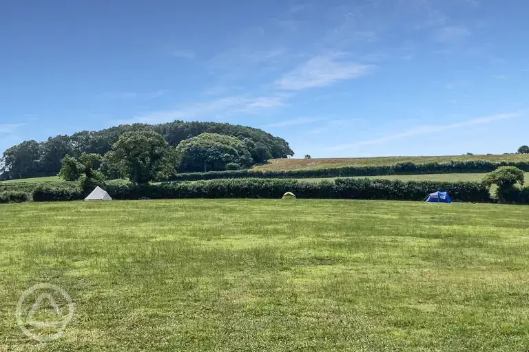 Grass tent pitches