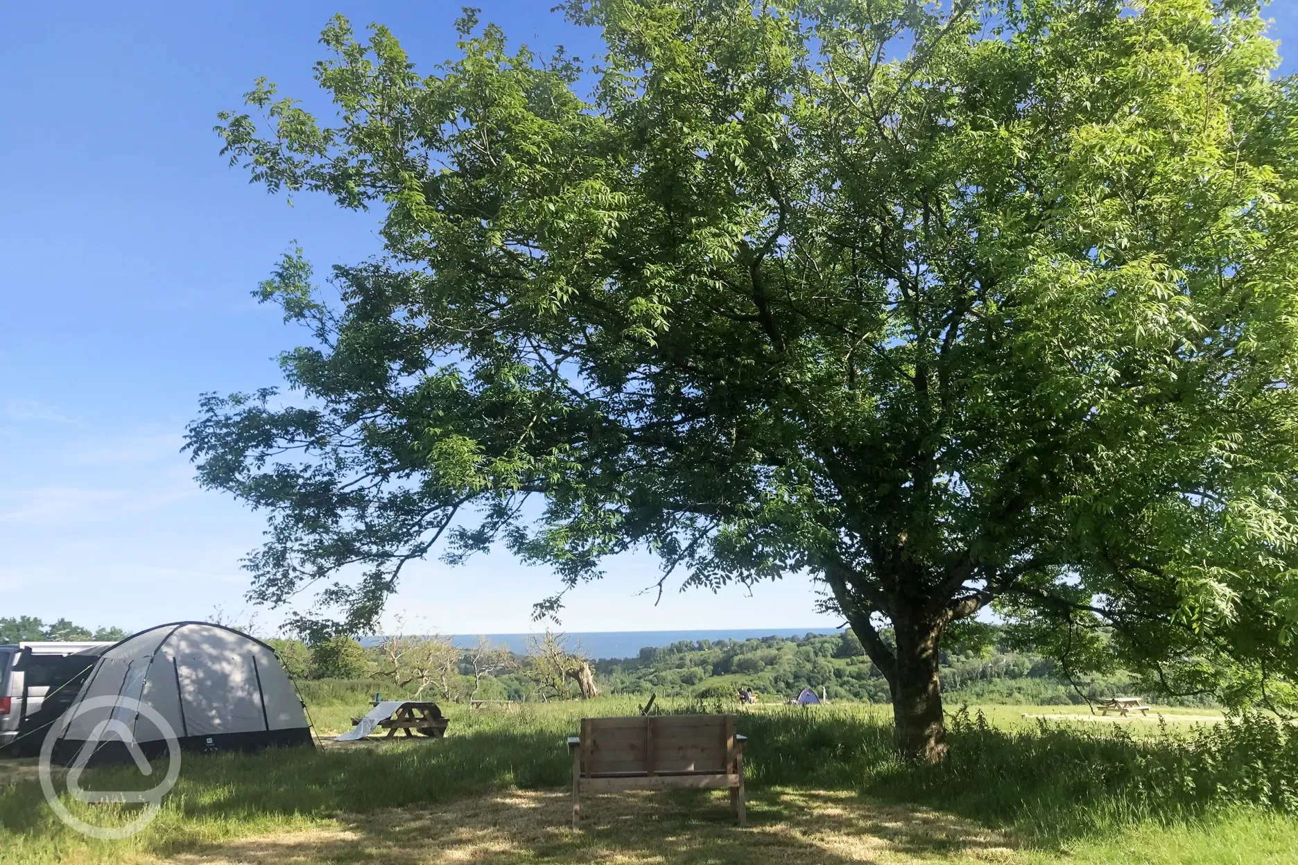 Non electric grass tent pitches