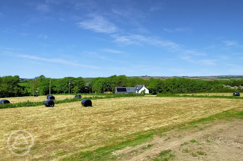 Haybales on grass pitches