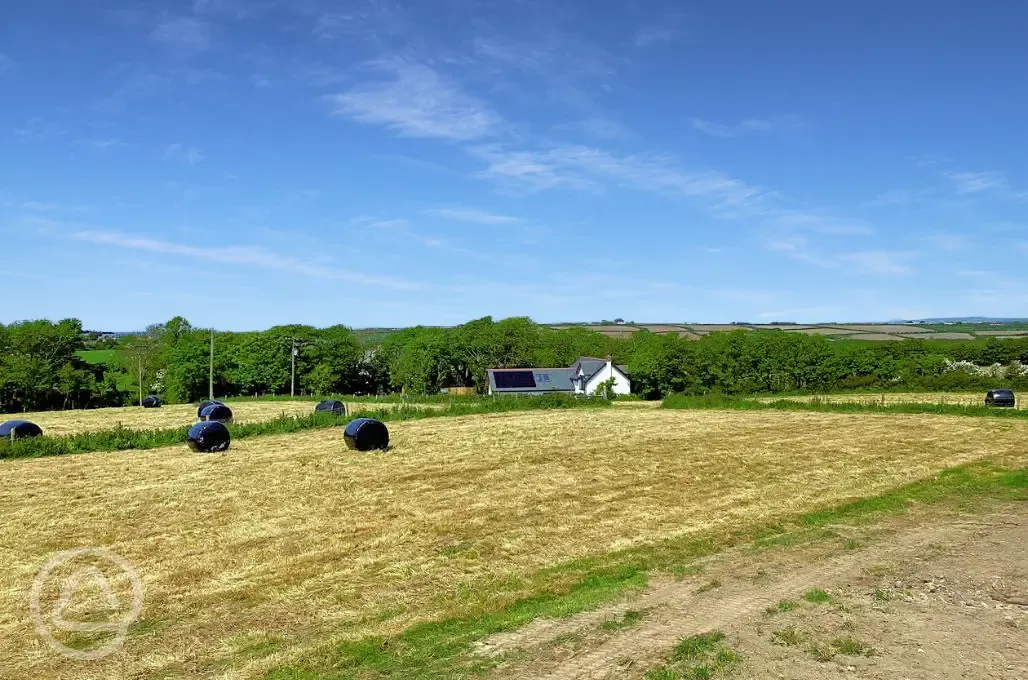 Non electric grass pitches and hay bales 