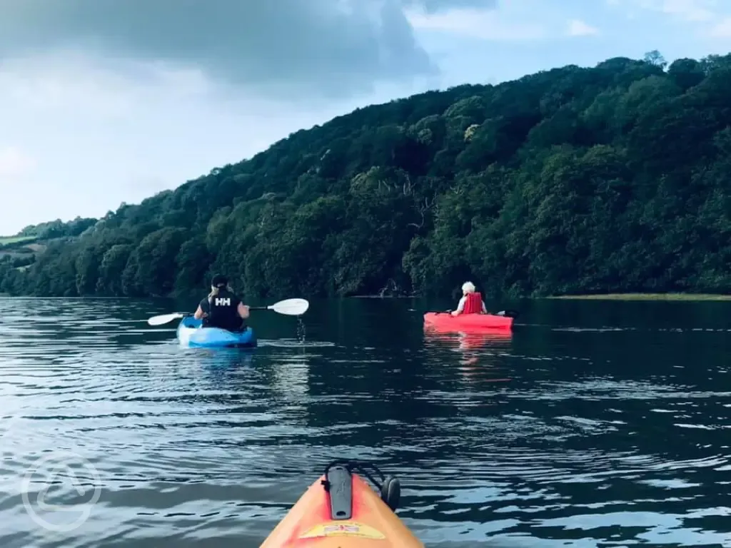 Bring your kayak less than 5 minutes from the river Tamar 