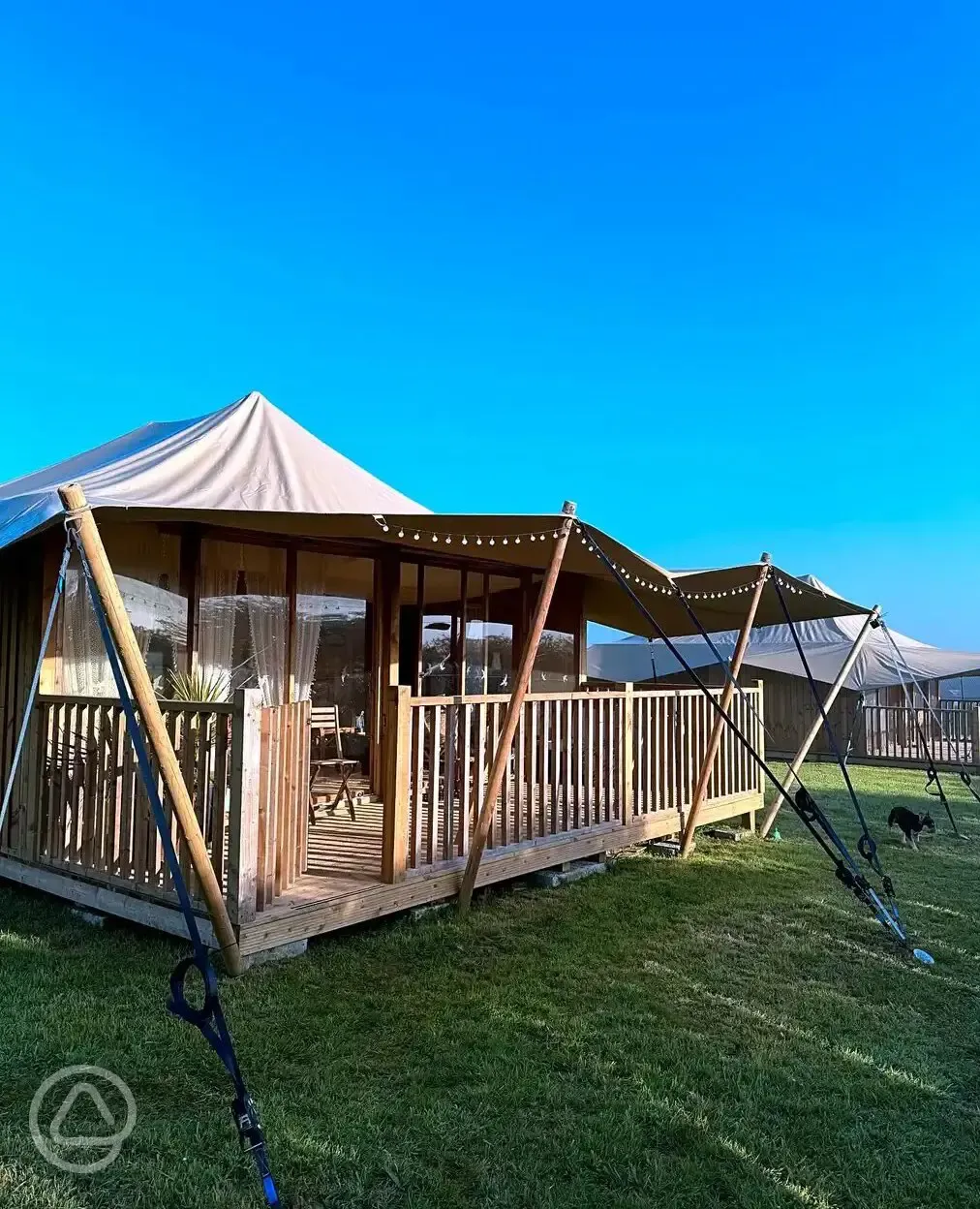 Safari tent