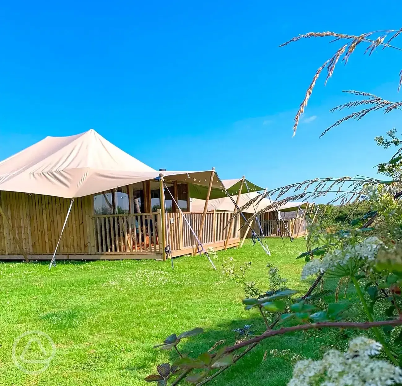 Safari tents