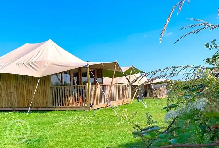 Safari tents