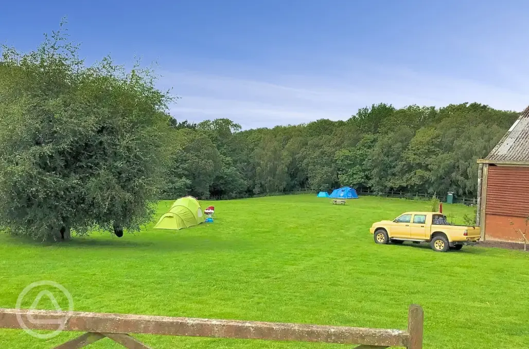 Non electric grass tent pitches