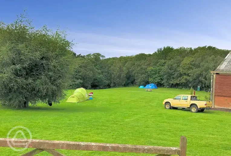 Non electric grass tent pitches