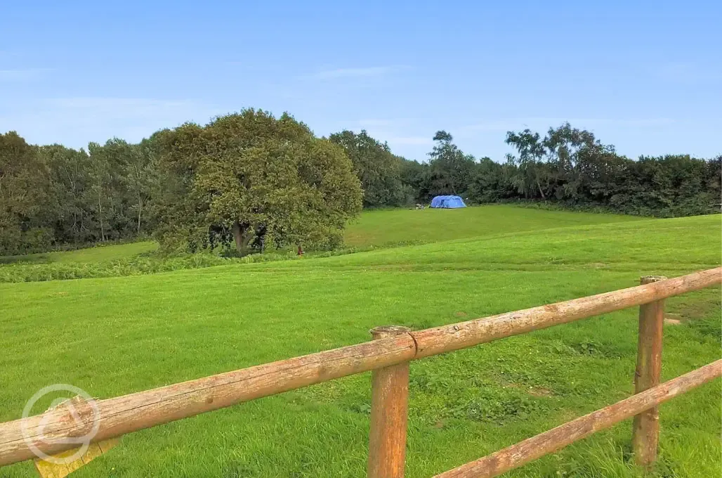 Non electric grass tent pitches