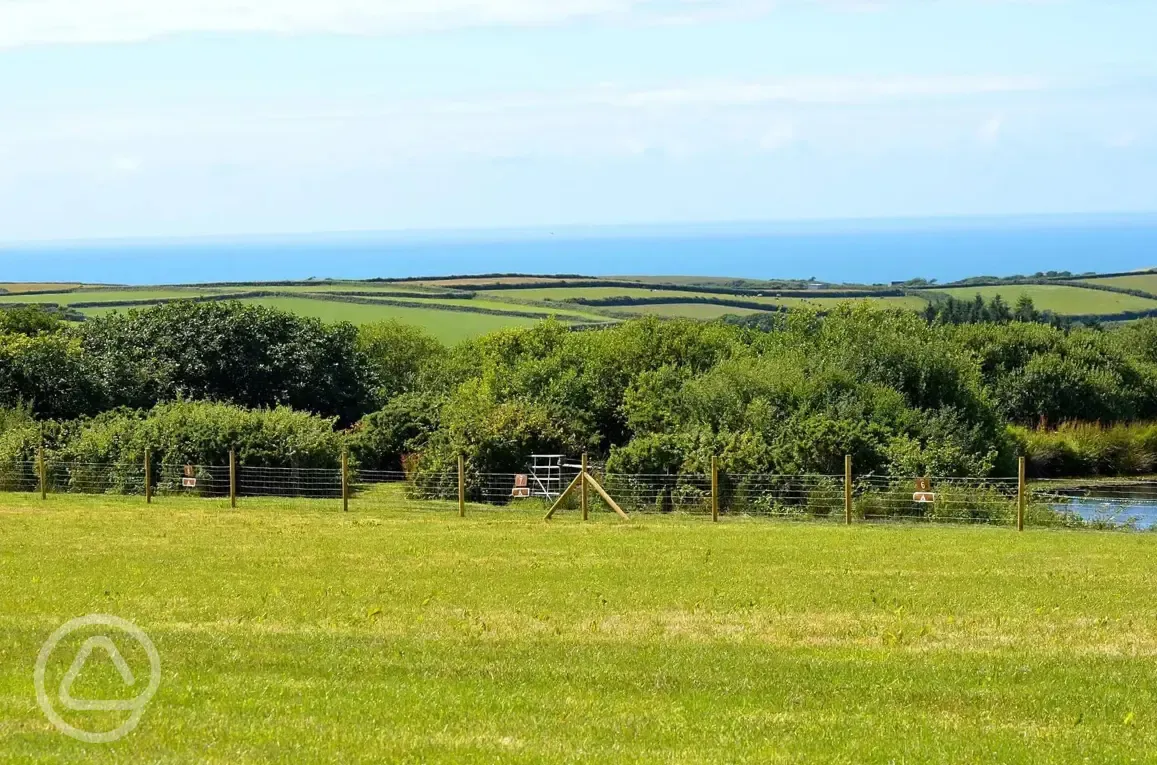 Non electric grass pitches