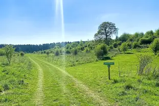 Wild Woodland Retreat, Elham, Canterbury, Kent Wild Woodland Retreat, Elham, Canterbury, Kent