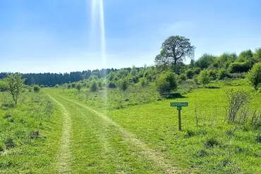 Wild Woodland Retreat non electric grass valley touring pitches