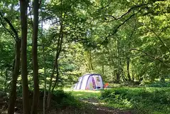 Non electric grass pitch - Woodland Sunny Glade Non electric grass pitch - Woodland Sunny Glade