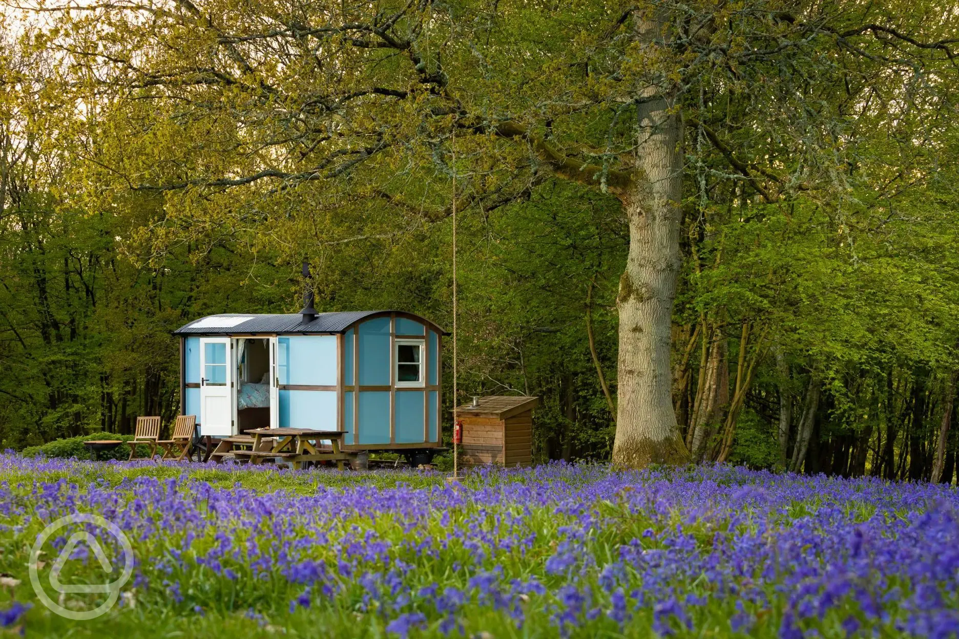 Woodland ensuite shepherd's hut