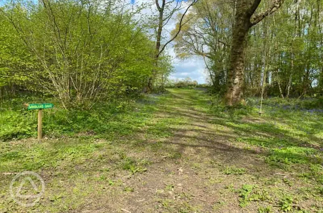 Non electric grass pitch - Woodland Oaks