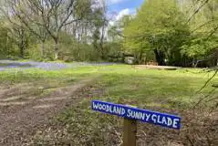 Non electric grass pitch - Woodland Sunny Glade