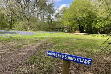 Non electric grass pitch - Woodland Sunny Glade