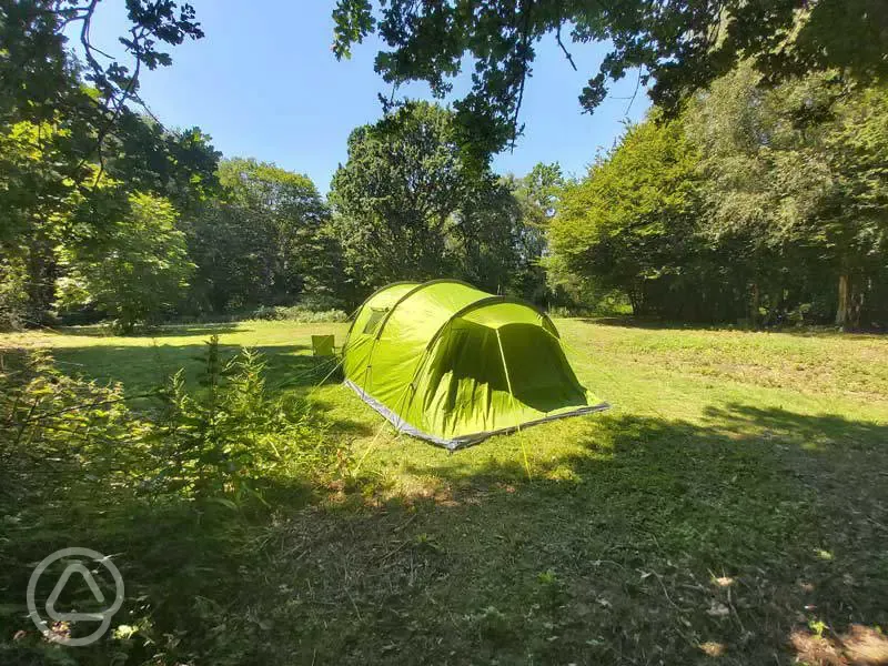 Non electric grass pitches - Valley