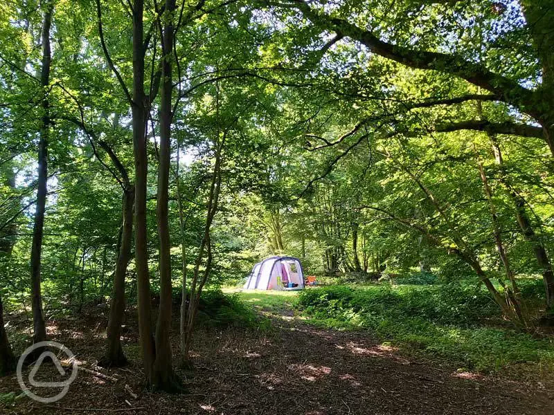 Non electric grass pitch - Woodland Oaks