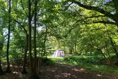 Non electric grass pitch - Woodland Oaks