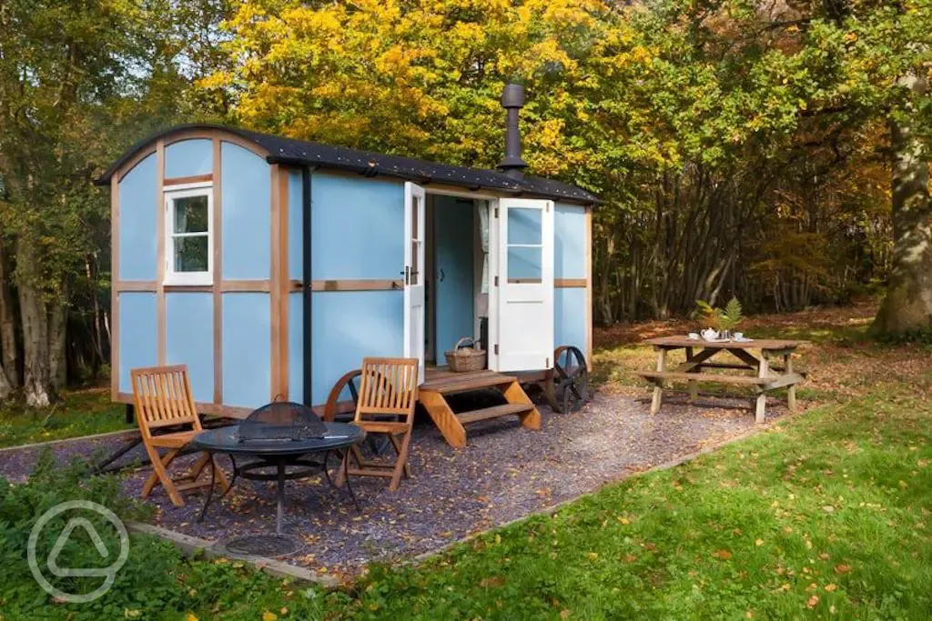 Woodland ensuite shepherd's hut