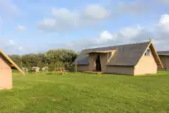 Celtic longhouse tent 