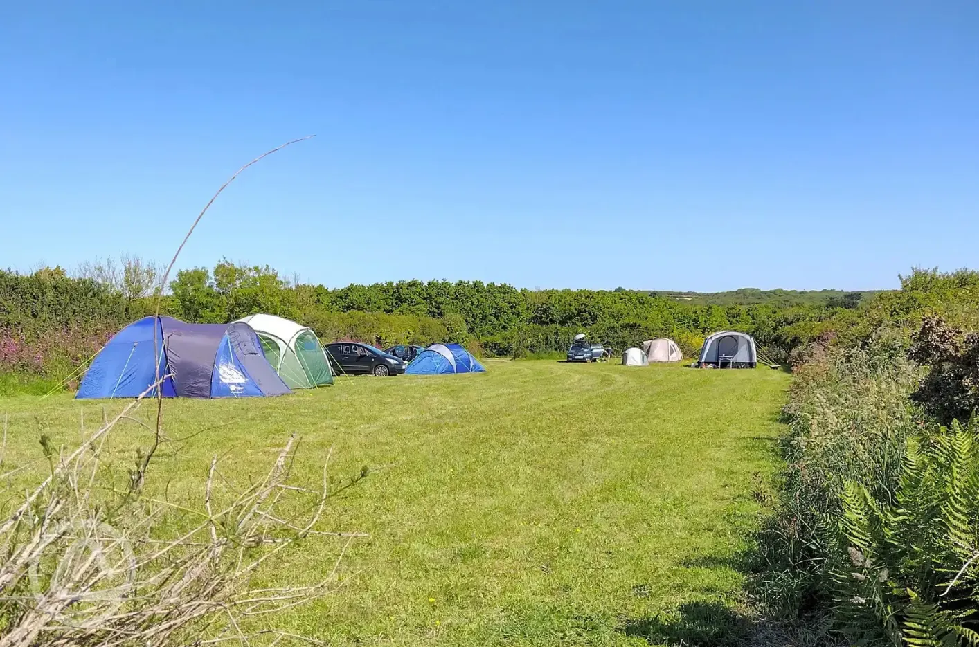 Non electric grass pitches (Lower Meadow)