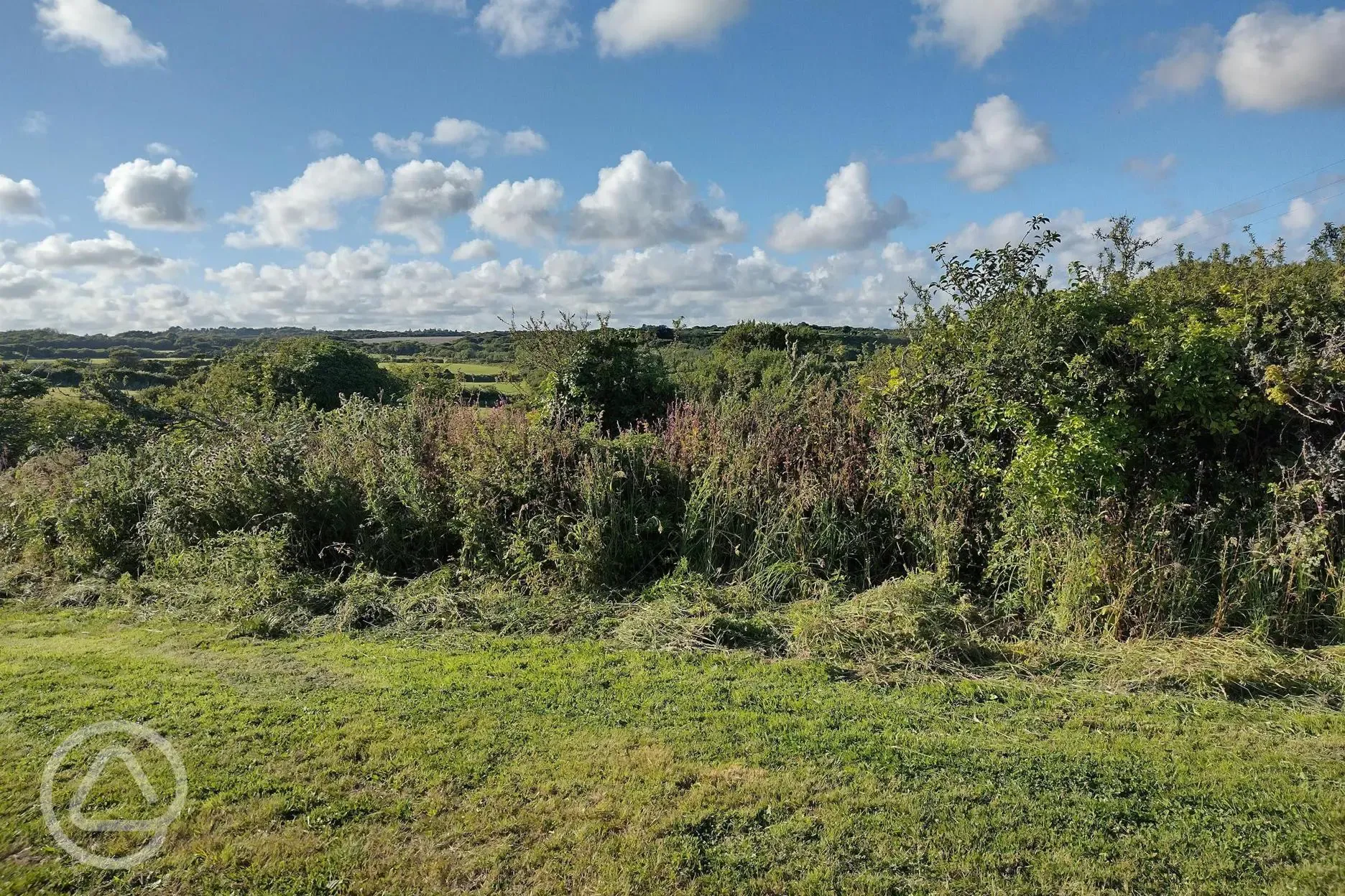 View from the Main Field