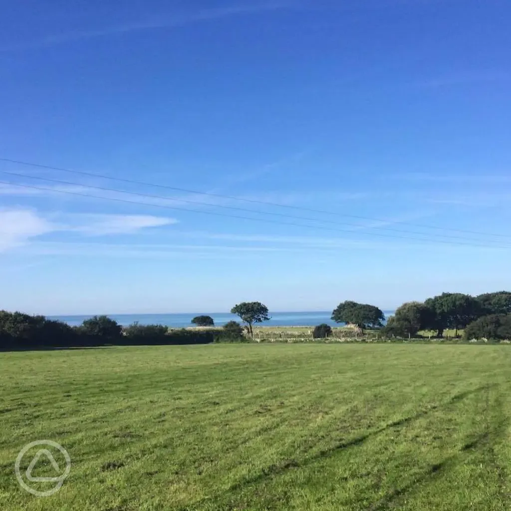 Llwyn Griffri overlooking Benar Beach (5 minutes)