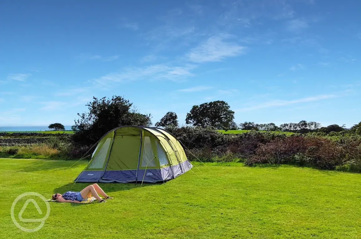 Large tent on grass pitch (10m x 10m) at Llwyn Griffri